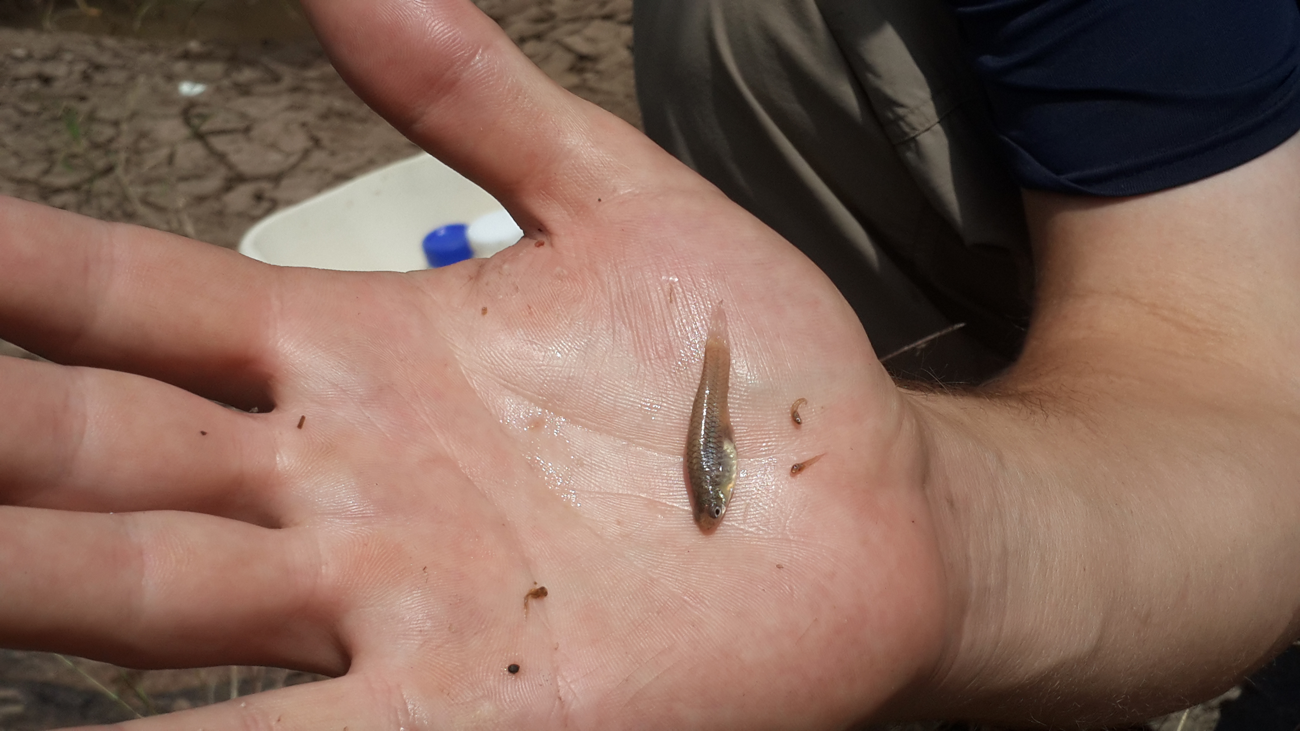 Science driven field work image 4